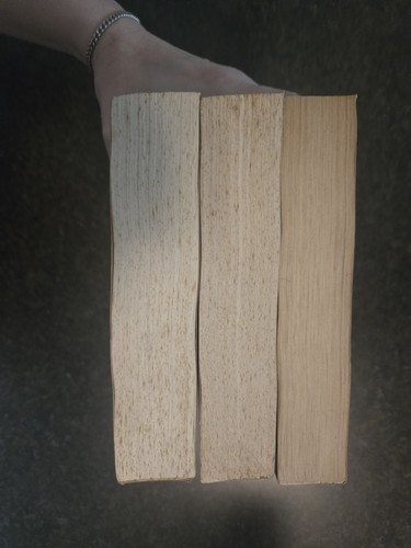 CIVILIZATION & CAPITALISM 15th-18th Century 3 Vols Vg- Pb by Fernand Braudel - Picture 4 of 16