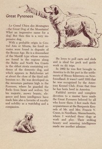 Great Pyrenees - CUSTOM MATTED - Vintage Antique Dog Art Print - 1954 M. Dennis