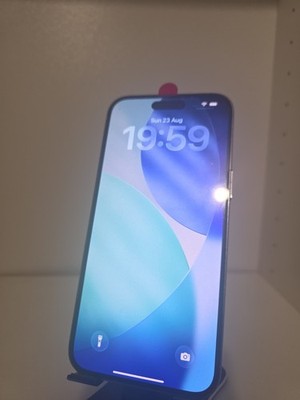 Apple iPhone 14 Pro Max - 256GB - Silber (Ohne Simlock) - 100%   BH - MAKELLOS