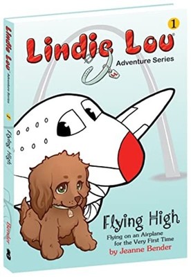 Flying High, Book 1, Lindie Lou Adventure Series : Flyi - Hardcover NEW Jeanne B