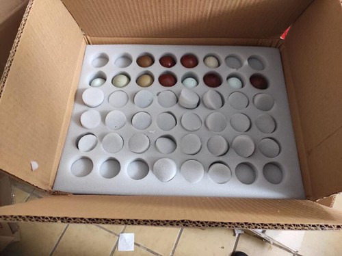 12 Bruteier Barbezieux hatching eggs - Bild 2 von 2