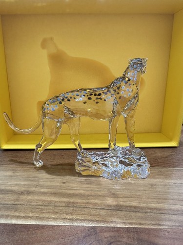 Elegance of Africa SCS Annual Edition 2023 Cheeta Mehira - Picture 3 of 5