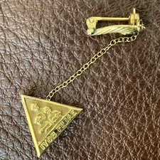 Vintage IYOB Filiae Job's Daughter Gold Pin with Cornucopia