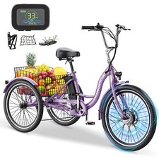 NAIZEA  24 Adult Electric Trike Tricycle 350W 10AH 36V Lithium Battery & Charge