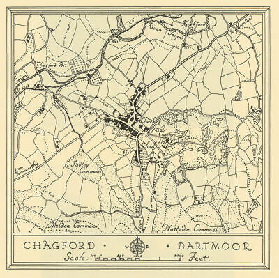 60NW Old Map Devon 1906 Chardstock Hook