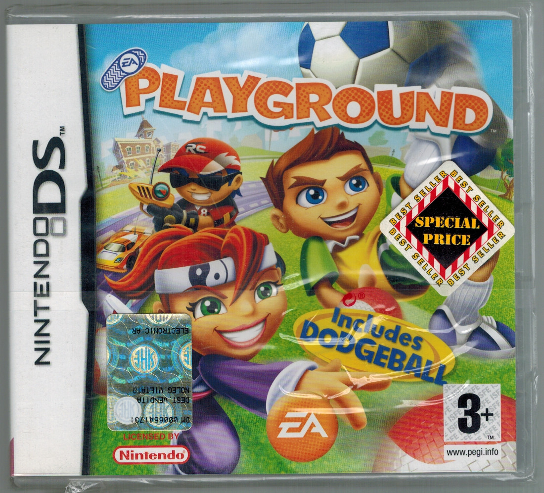 Nintendo DS Playground Video Game