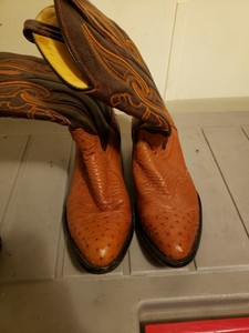 botas originales de avestruz