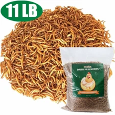 11 LB Dried BSF Mealworms High Protein Bulk Sale Non-GMO Food For Chicken,Bird