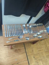 Oneida 1881 Rogers True Arbor Rose Stainless Flatware Set Lot 60 Pieces