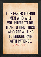 Quotes Julius Caesar Framed Wall Art Poster Canvas Print Picture