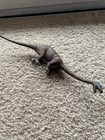 vintage AAA Brontosaurus/Apatosaurus dinosaur toy — photo 10