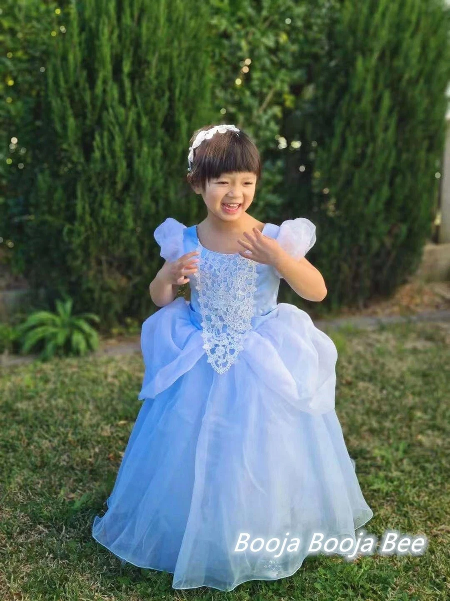 Cinderella birthday dress hot sale girl