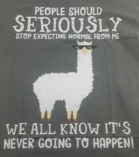 People Should Stop Expecting Normal From Me Llama Shirt Tee Gray Large Unisex