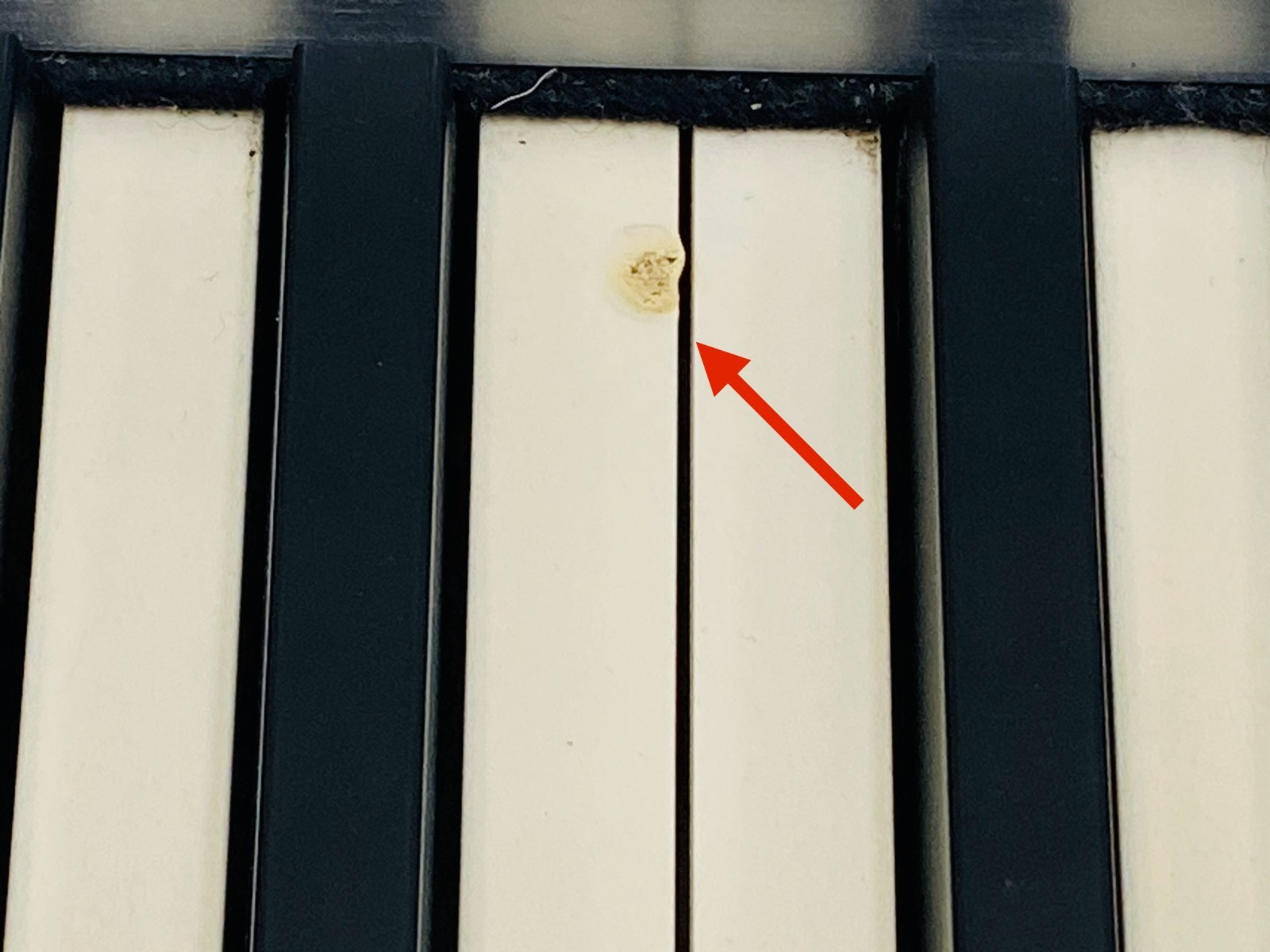 Roland Fantom-G8 Keyboard Synthesizer