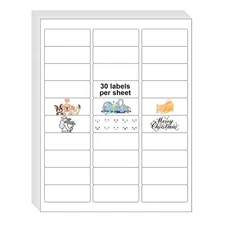 30 UP 15000 Stickers 500 Sheets 1" x 2-5/8" Shipping Return Address Labels fo...