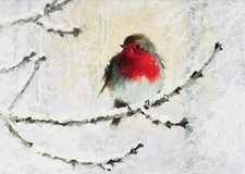 PETER PAUPER PRESS English Robin in Winter Deluxe Boxed Holiday Cards (20 Ca...