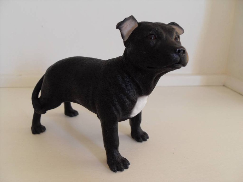 Statuette Ornement Chien En Résine - Choix De Races (Staffy, Yorkie, Etc.), The Leonardo Collection, Neuf