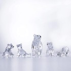 Foto 6 di 6