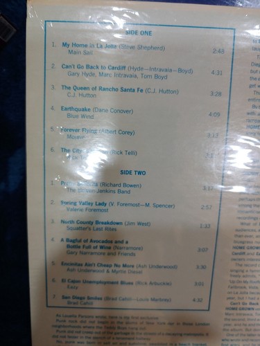 HOMEGROWN~ LP SEALED ALBUM~ INDIE 12"inch~ VINYL RECORD ~KGB San Diego - Picture 3 of 4
