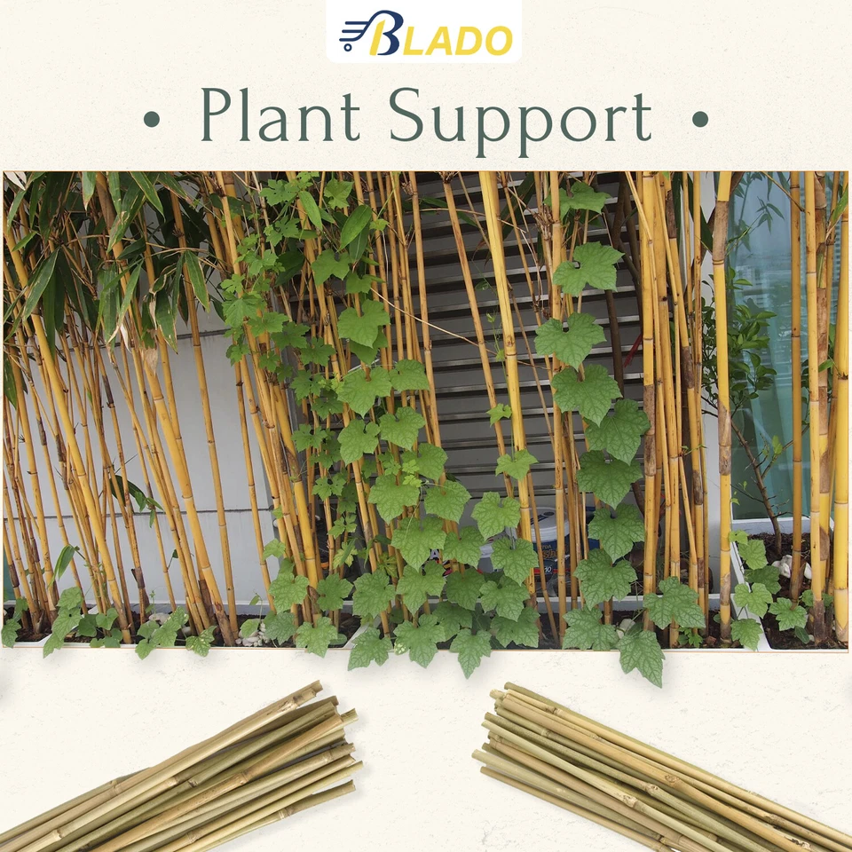 2ft - 6ft Strong Thick Heavy Duty Bamboo Canes Garden Flower Plant Support Stick - Image 4 of 4