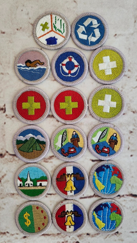 BSA Boy Scout Required Merit Badges, Pre-owned - 第 1/2 張圖片