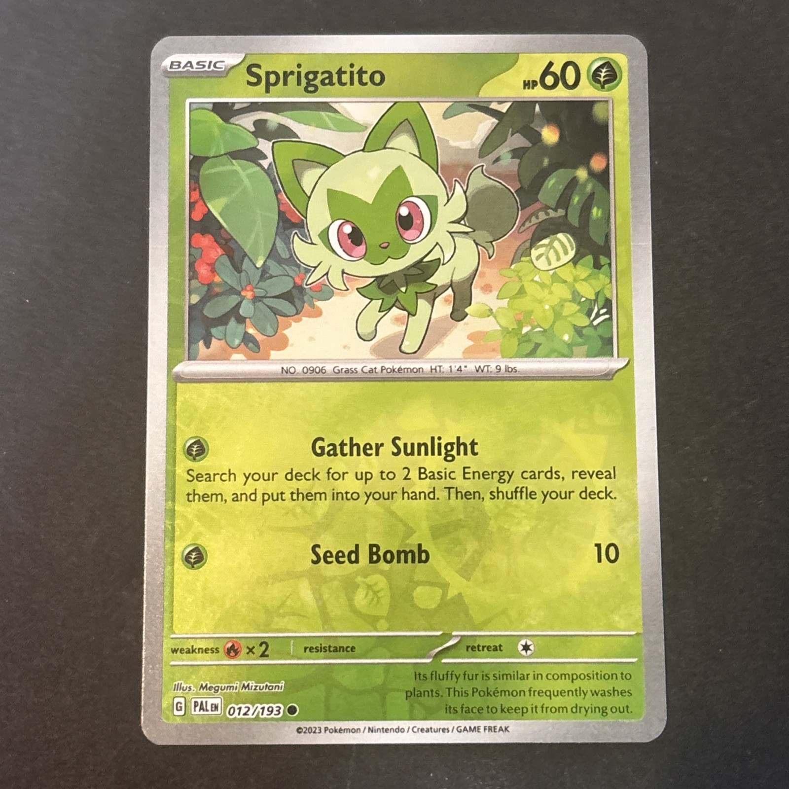 Sprigatito 012/193 S&V Paldea Evolved Reverse Holo Starter Pokémon 2023