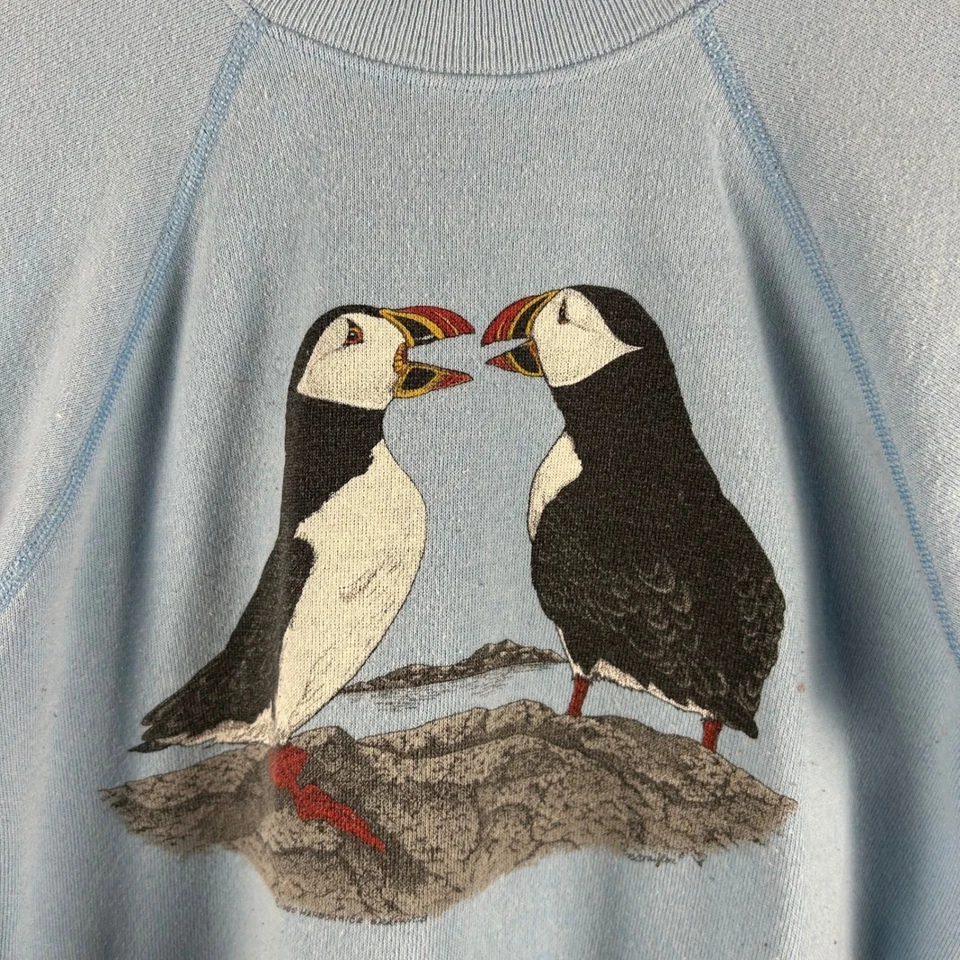 Sudadera De Colección Años 80 Hanes Puffins Animal Raglán Azul Claro Juvenil Grande Foto 3 de 4