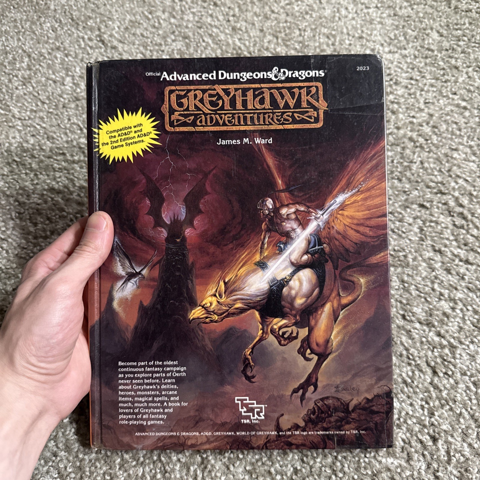 Greyhawk Adventures by James M. Ward Advanced Dungeons & Dragons 1st Ed. HB