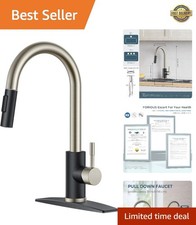 Elegant Black Brushed Kitchen Faucet with Pull Down Sprayer High Arc Gooseneck