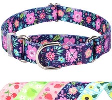 No Pull Choke Dog Collar for Walking Running Training -Bohemia Flowers L 41