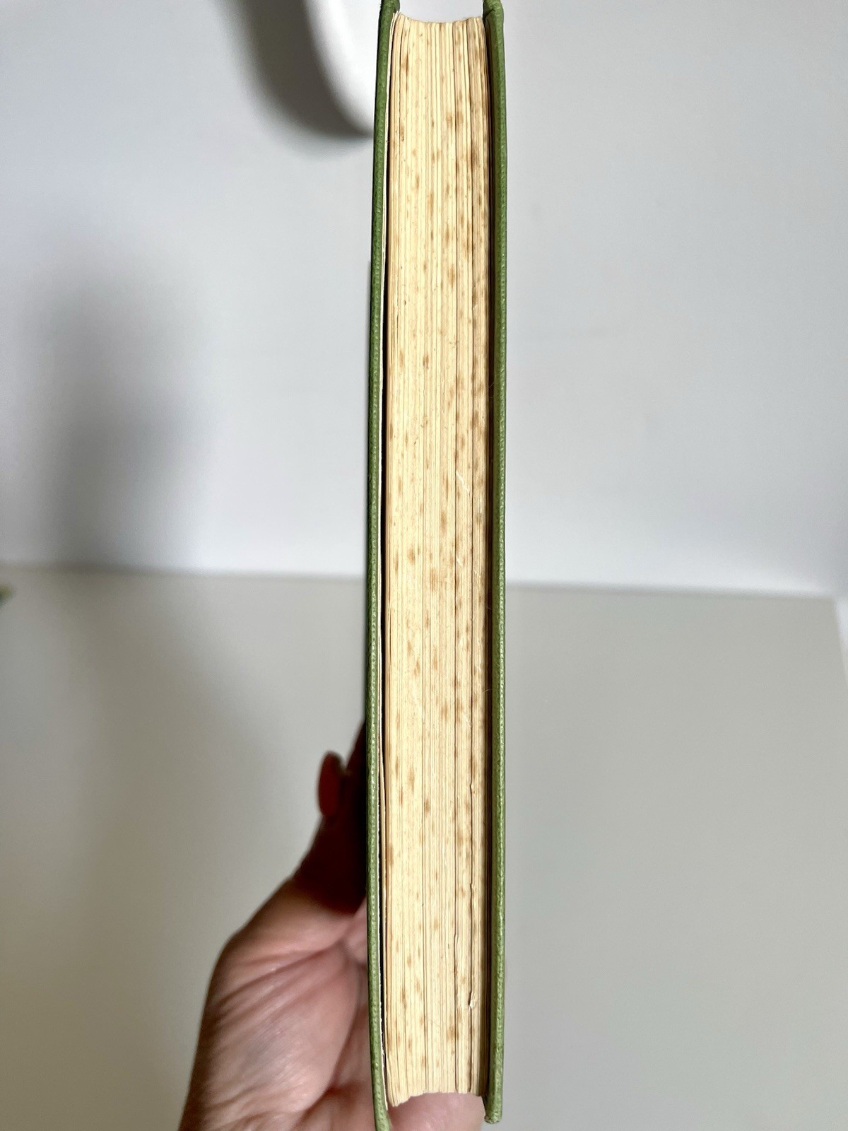 Photo 6/6