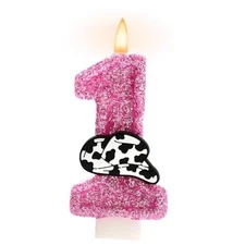 Hot Pink Cowgirl Glitter Candle Holy Cow Im One Birthday Decoration Number 1 