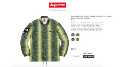 Supreme The North Face TNF northface Snakeskin Coaches Jacket 