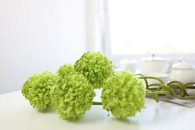 Künstlicher grüner runder Eremurus mit frischem Look, künstlicher Eremurus