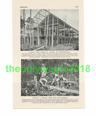 Dyak Longhouse & Tapping Gutta Percha, Borneo, Malaysia, Illustration, um 1920
