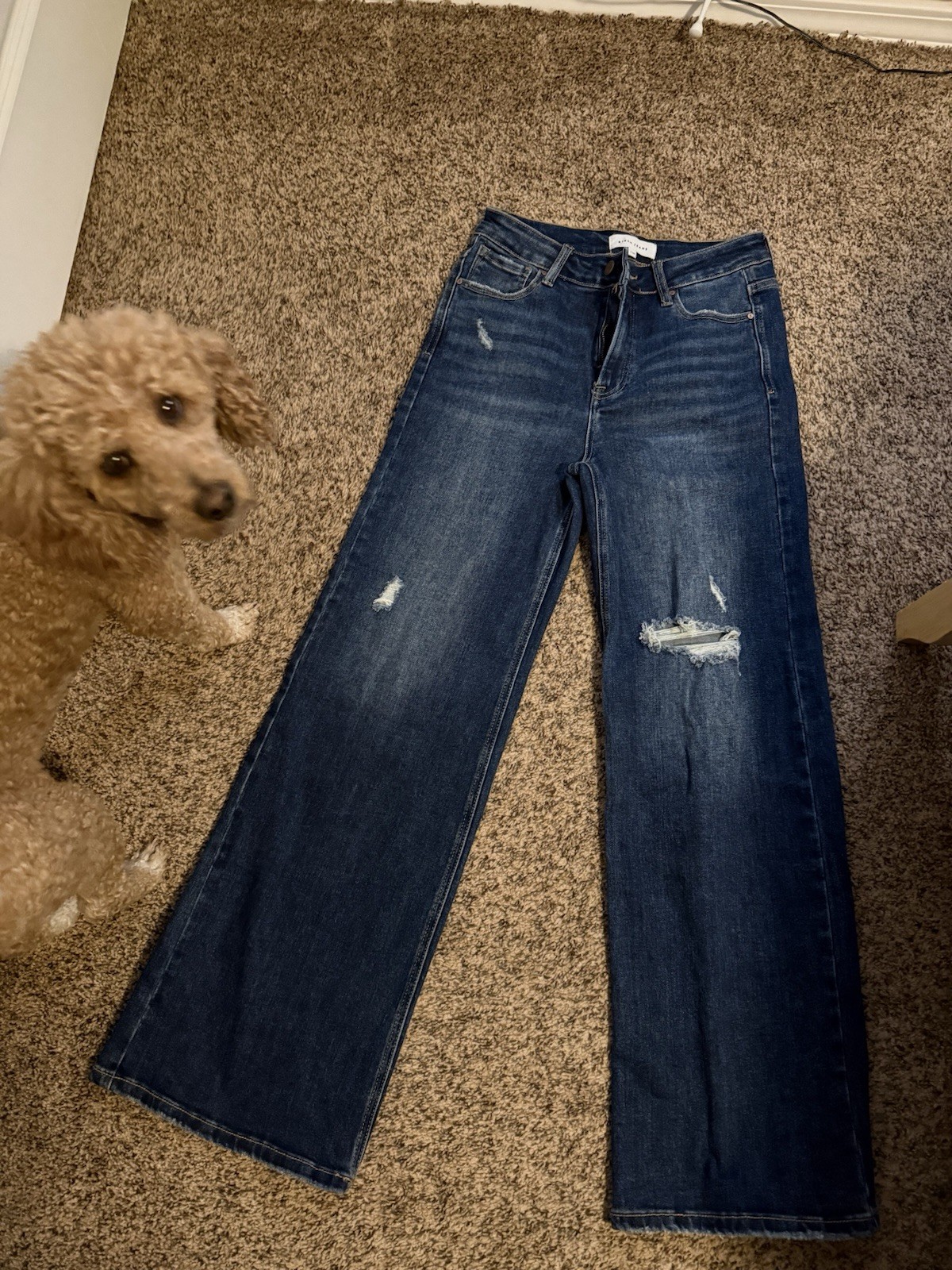 Risen Women's Distressed Blue Wide-Leg Stretch Denim Jeans 5-Pocket Size 7/28