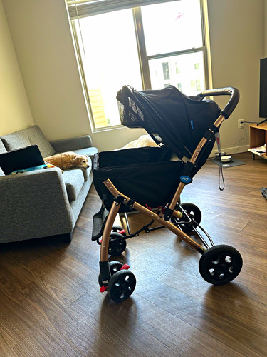 HPZ Pet Rover Pet Rover XL 4-Wheel Foldable Pet Stroller, Black Cup Holder