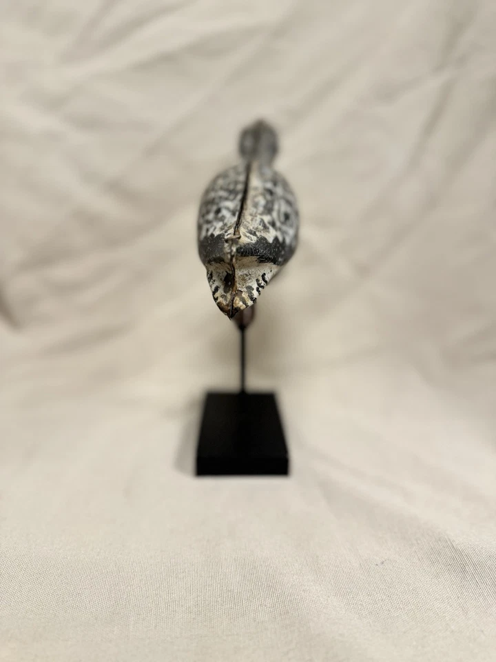 ANTIGUO SEÑUELO STRATER & SOHIER (ATRIBUIDO) CHORLITO DE VIENTRE NEGRO PARA AVES PLAYERAS Foto 4 de 4