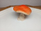 Foto 3 di 6
