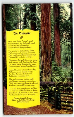 Poem The Redwoods Chrome Postcard Joseph B Strauss Author California CA PM 1954