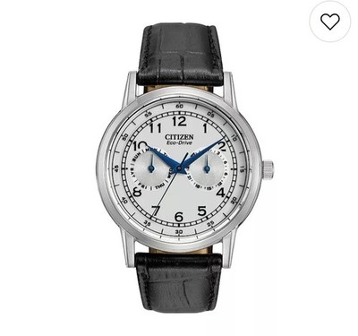Citizen Eco-Drive Men's Leather Watch - AO9000-06B New In Original Box 