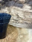 Bild 11 von 24
