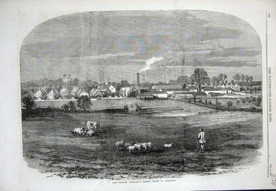 Alter antiker Druck 1858 Ansicht Prinz Gemahlin Modell Bauernhof Osborne Schaf Kuh 19.