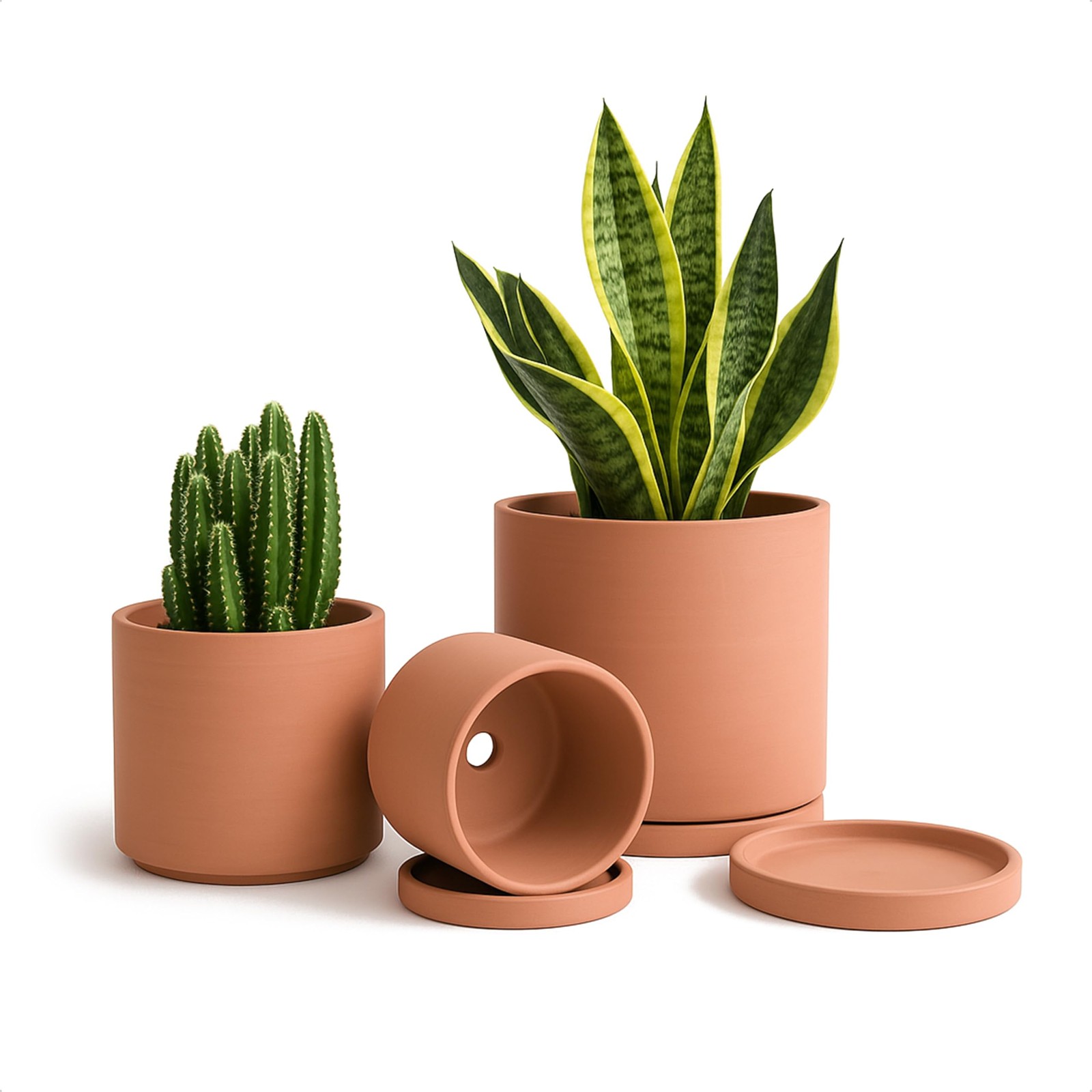 Pots en terre cuite de 12 et 15 cm avec soucoupe et drainage pour plantes