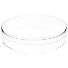 Pioneer Plastics Clear Small Round Petri Dish Container, 2.75" W x 0.625" H