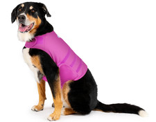 Dog Anxiety Calming Wrap, Large, Radiant Orchid Fast Order Processing