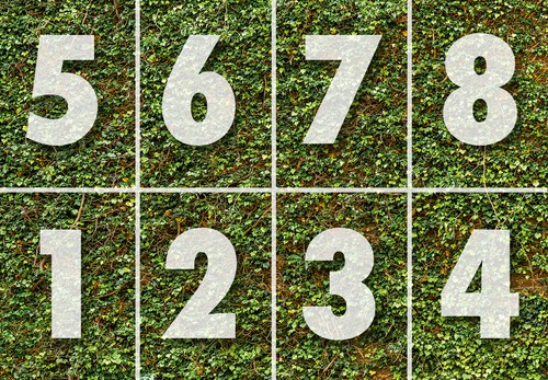 Climbing IVY Wallpaper 144"x100" Removable Wall Mural Plant Green Grass Backdrop - Picture 4 of 5