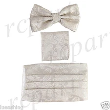 New In Box Brand Q Paisley Cummerbund Bowtie Hankie Set Wedding Prom Beige