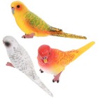 Bild 7 von 12