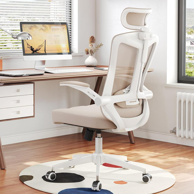 Ergonomic Office Chair with Adjustable Lumbar Support & Flip-Up Armrests - High
